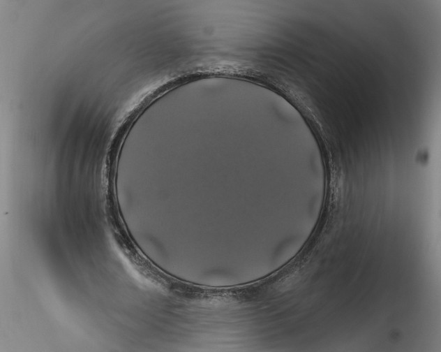 X0000115520674200911271323