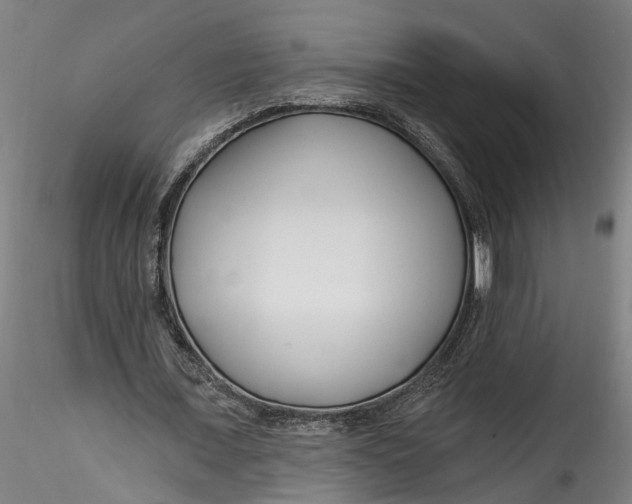 X0000115520675200911271323