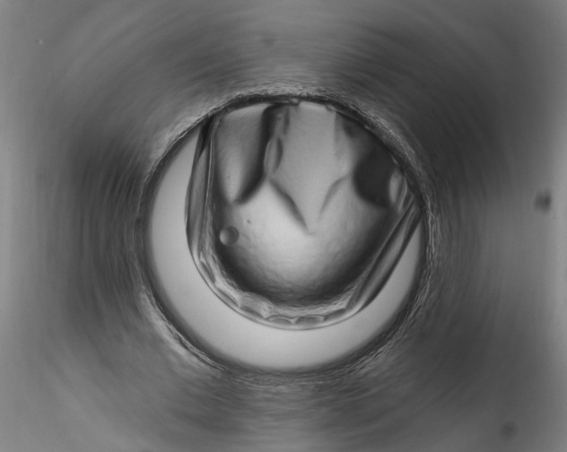 X0000115520677200911271323