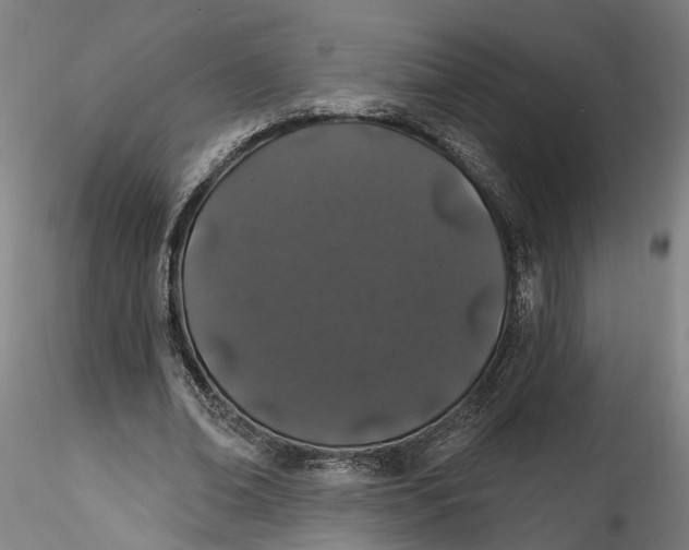 X0000115520678200911271323