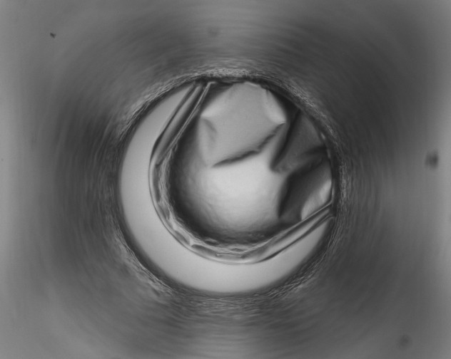 X0000115520681200911271323