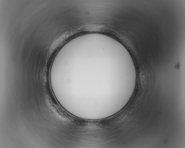 X0000115520682200911271323