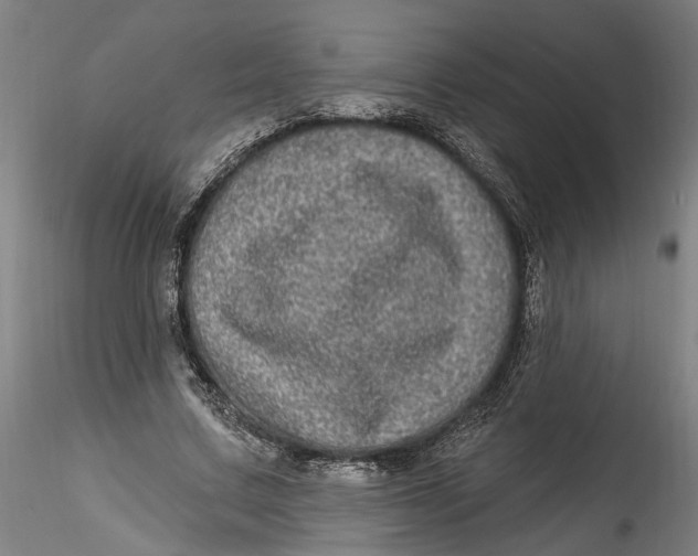 X0000115520683200911271323