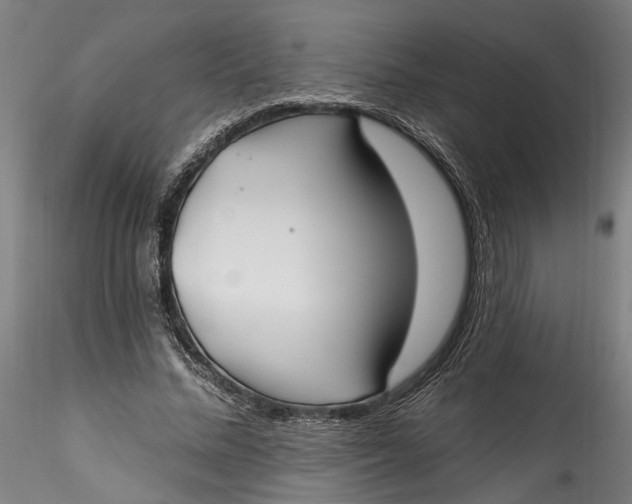 X0000115520684200911271323