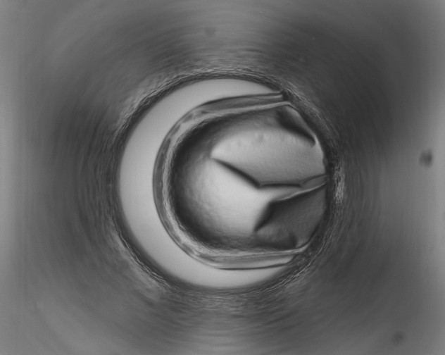 X0000115520685200911271323