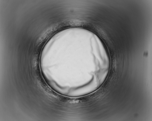 X0000115520687200911271323