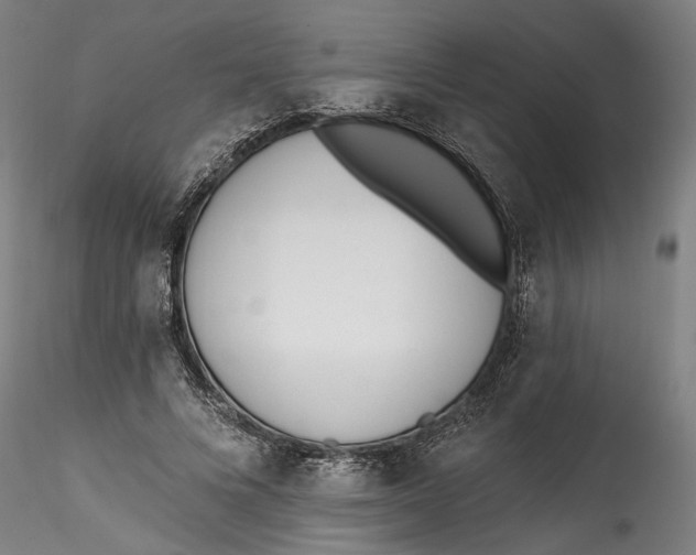 X0000115520688200911271323