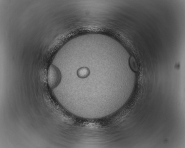 X0000115520689200911271323