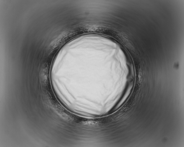 X0000115520691200911271323