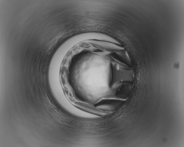 X0000115520693200911271323