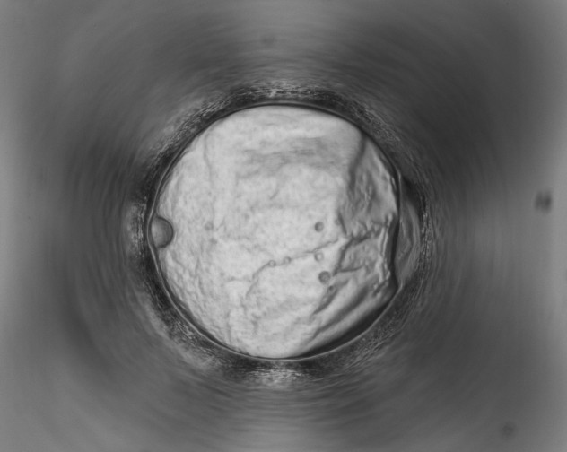 X0000115520695200911271323