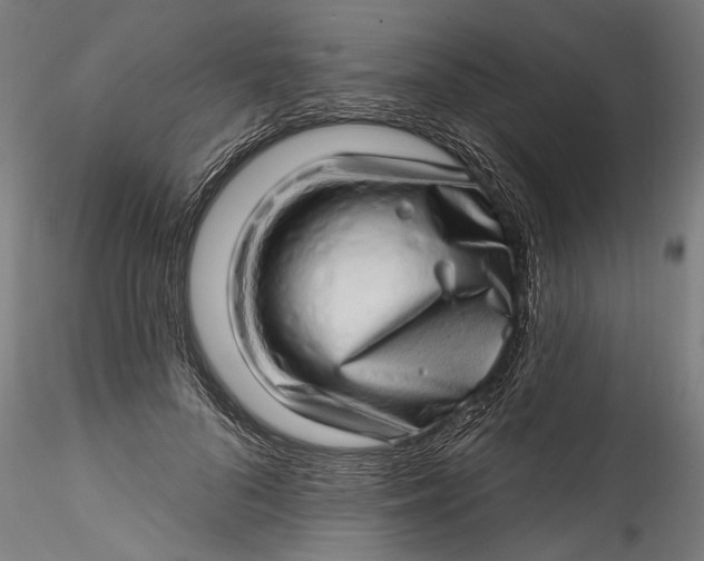 X0000115520696200911271323