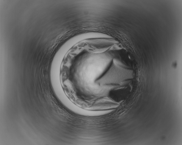 X0000115520697200911271323