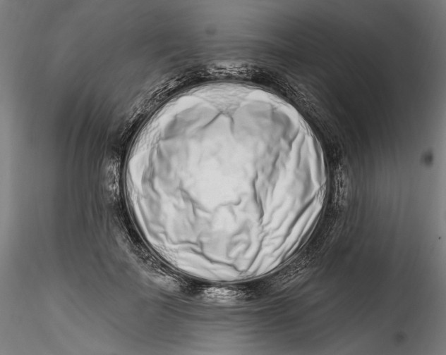 X0000115520699200911271323