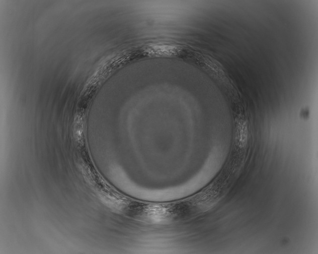 X0000115520701200911271323