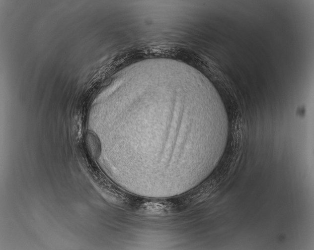 X0000115520703200911271323