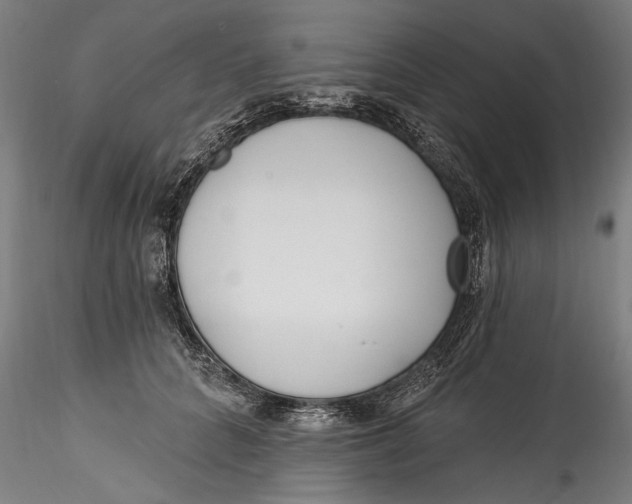 X0000115520704200911271323