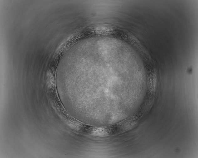 X0000115520705200911271323