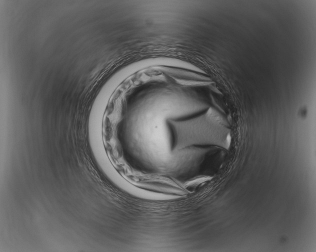 X0000115520709200911271323