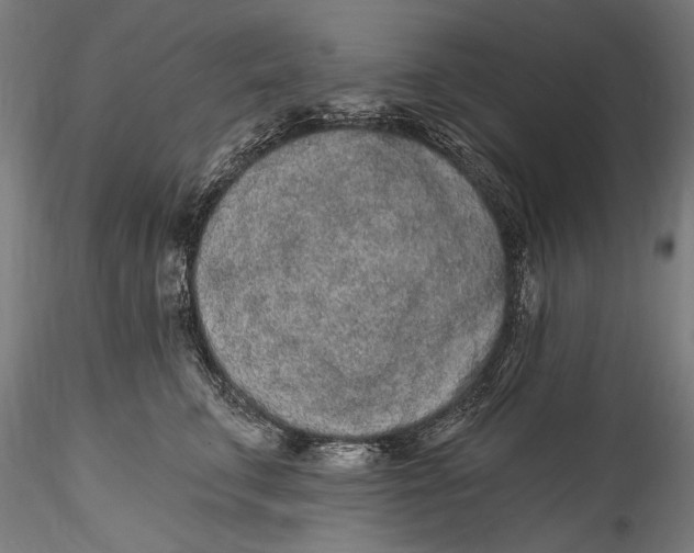 X0000115520711200911271323