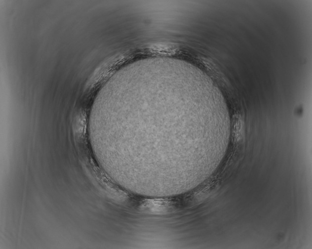 X0000115520713200911271323