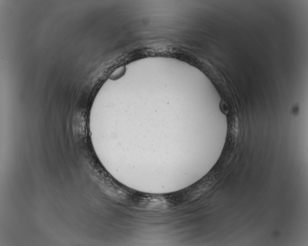 X0000115520715200911271323