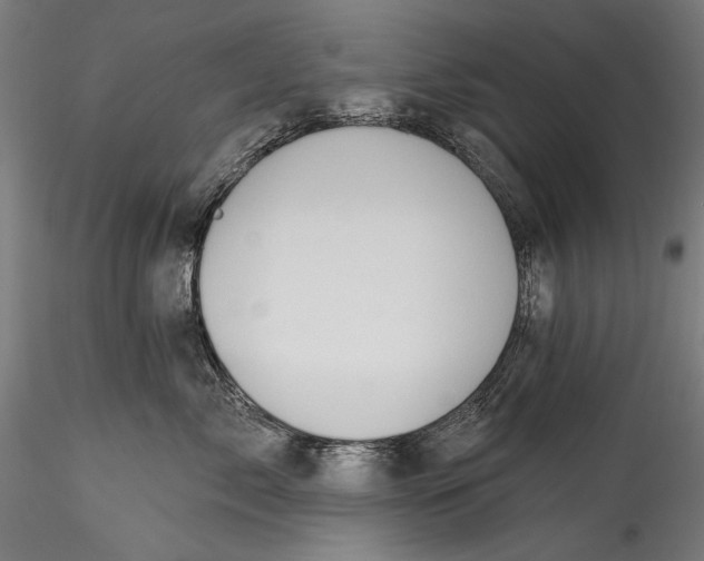 X0000115520717200911271323