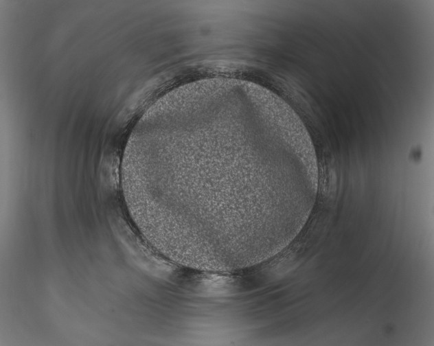 X0000115520718200911271323