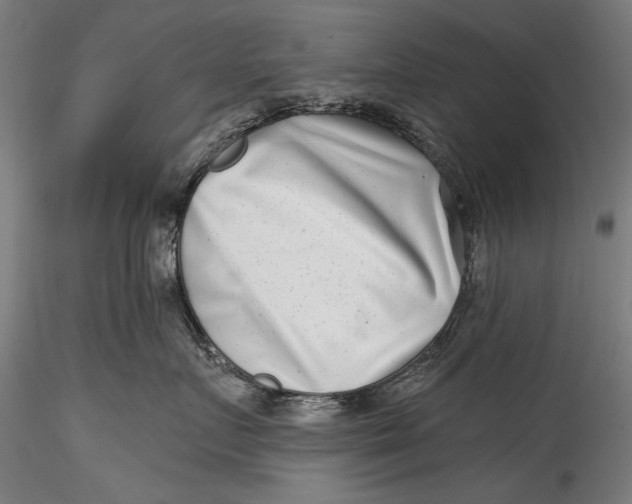 X0000115520719200911271323