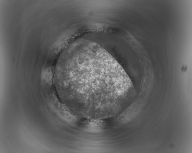 X0000115520720200911271323