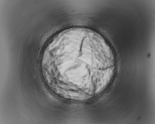 X0000115520721200911271322