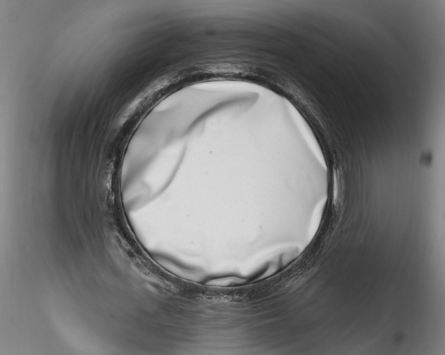 X0000115520723200911271322