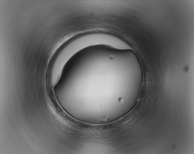 X0000115520726200911271322