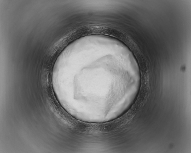 X0000115520733200911271322