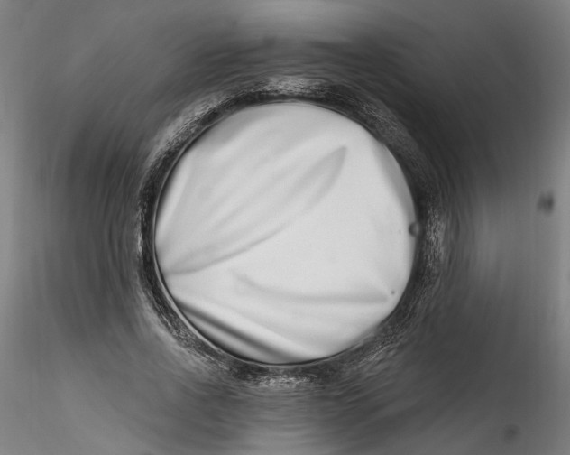 X0000115520734200911271322