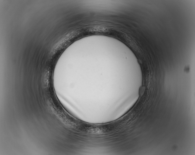 X0000115520735200911271322