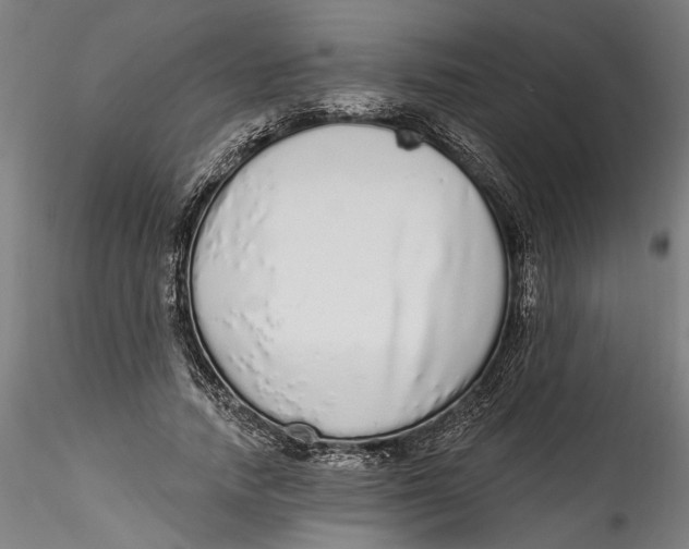 X0000115520738200911271322