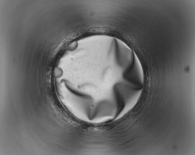 X0000115520739200911271322