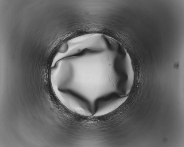 X0000115520743200911271322