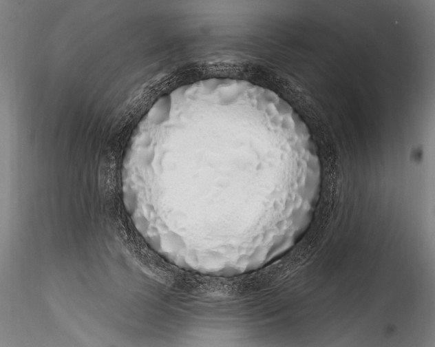 X0000115520745200911271322