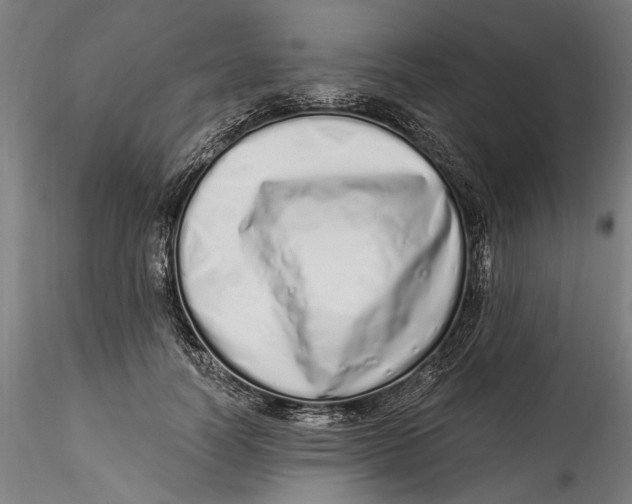 X0000115520746200911271322