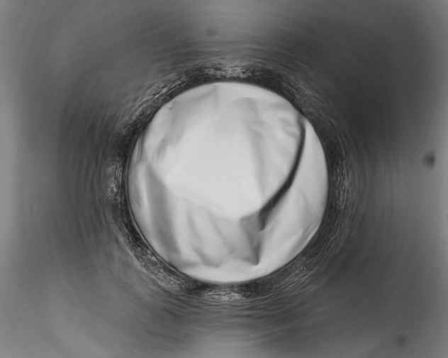 X0000115520747200911271322