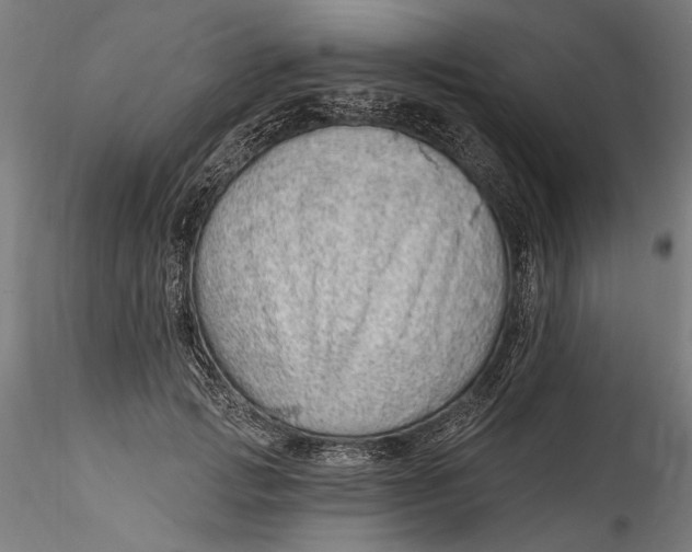 X0000115520749200911271322