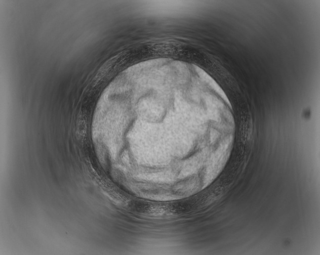 X0000115520753200911271322