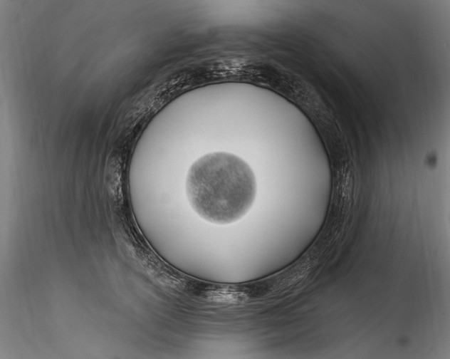 X0000115520754200911271322