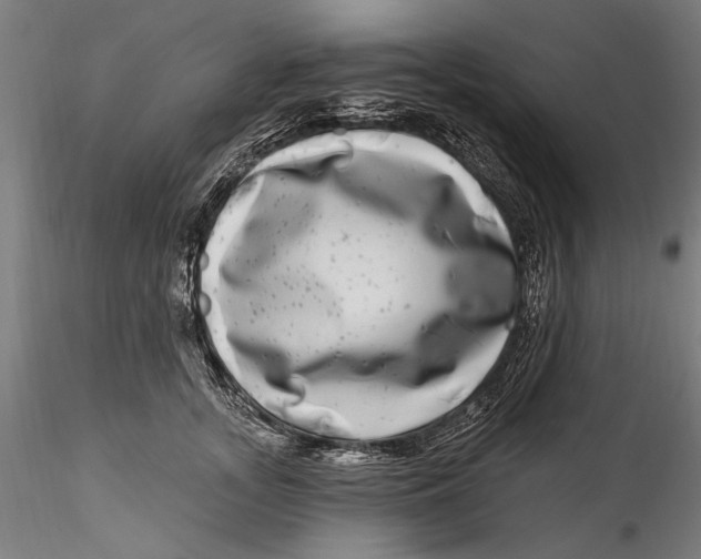 X0000115520755200911271322