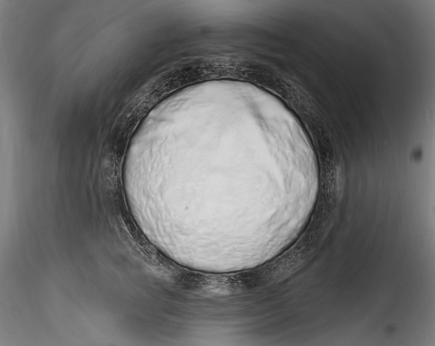 X0000115520757200911271322