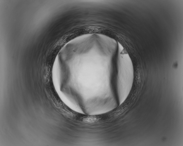 X0000115520759200911271322