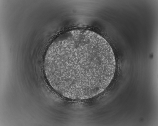 X0000115520769200911271322