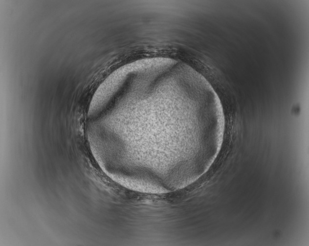 X0000115520770200911271322